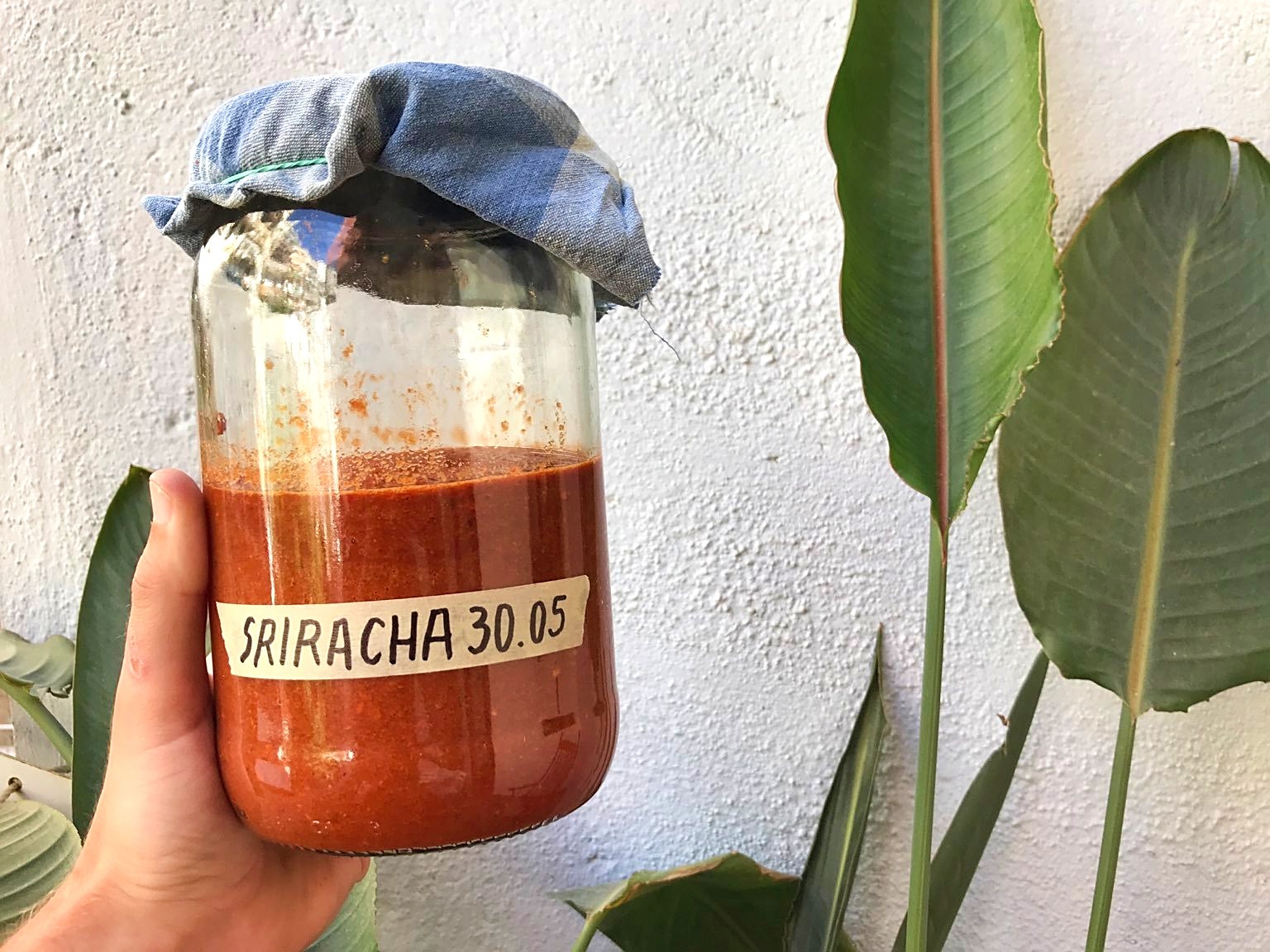 sriracha-04.jpg